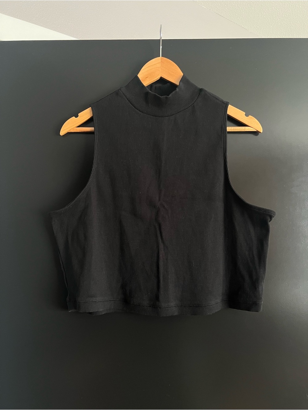 Everlane Black Ribbed Mock Neck Sleeveless Crop Tank